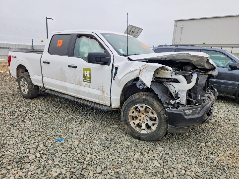 2023 Ford F150 მანქანა იყიდება აუქციონზე, vin: 1FTFW1E86PKD97791, აუქციონის ნომერი: 85634555