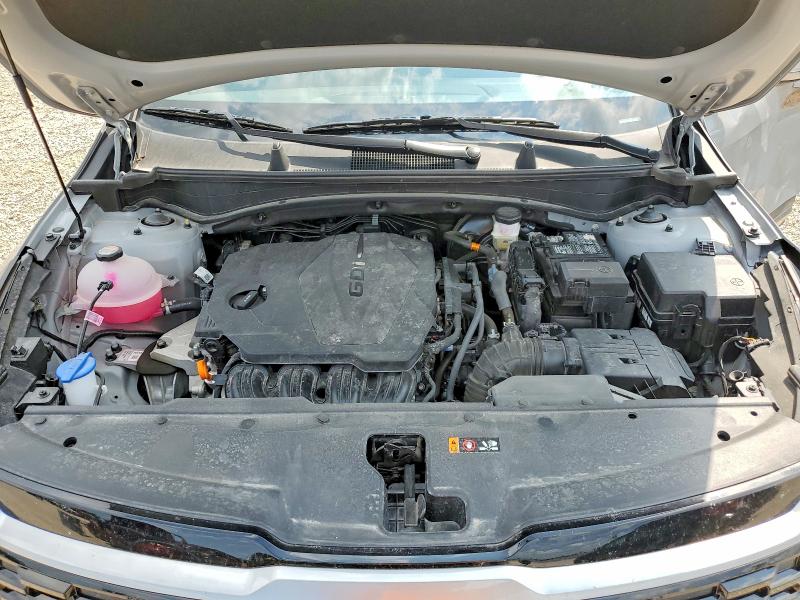 61508176 :رقم المزاد ، 5XYK33DF6TG361702 vin ، 2026 Kia Sportage مزاد بيع