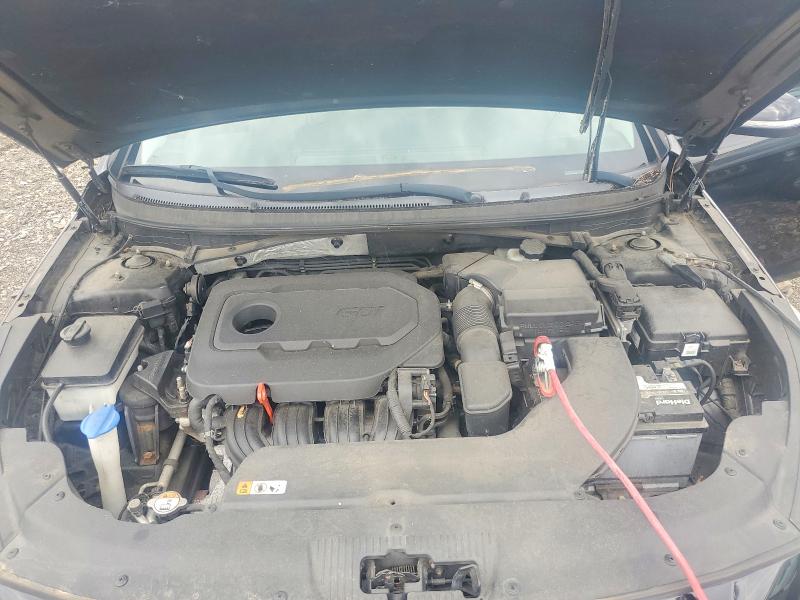 63028976 :رقم المزاد ، 5NPE34AF6GH315700 vin ، 2016 Hyundai Sonata مزاد بيع