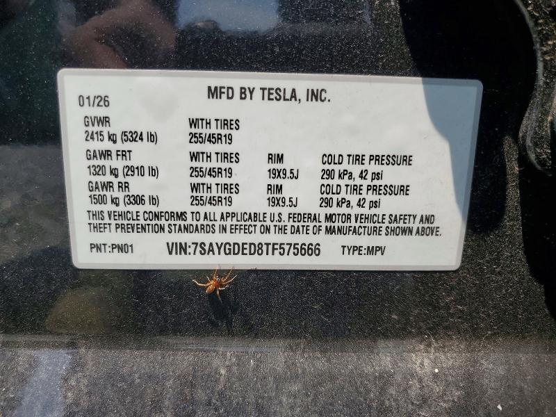 Aukcja sprzedaży 2026 Tesla Model Y, vin: 7SAYGDED8TF575666, numer aukcji: 62280036