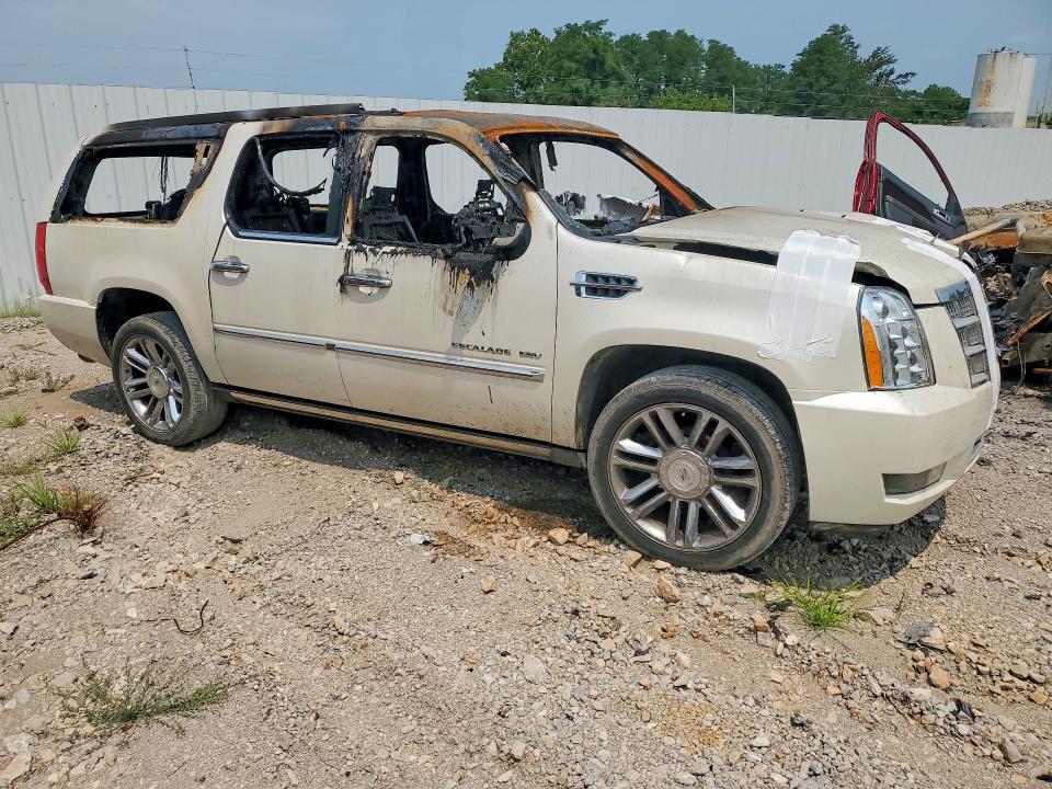 Продаж на аукціоні авто 2010 Cadillac Escalade, vin: 1GYUKKEFXAR273135, номер лоту: 62048806