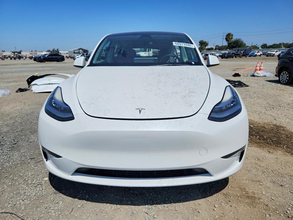 Продаж на аукціоні авто 2022 Tesla Model Y, vin: 7SAYGDEE9NF364276, номер лоту: 60973946