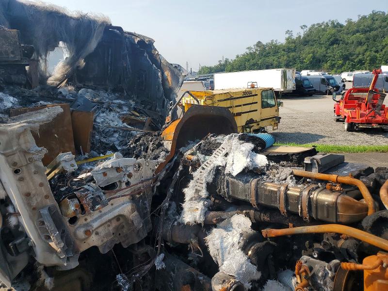 60445876 :رقم المزاد ، 1FUJGLD51FLGE8274 vin ، 2015 Freightliner Cascadia مزاد بيع