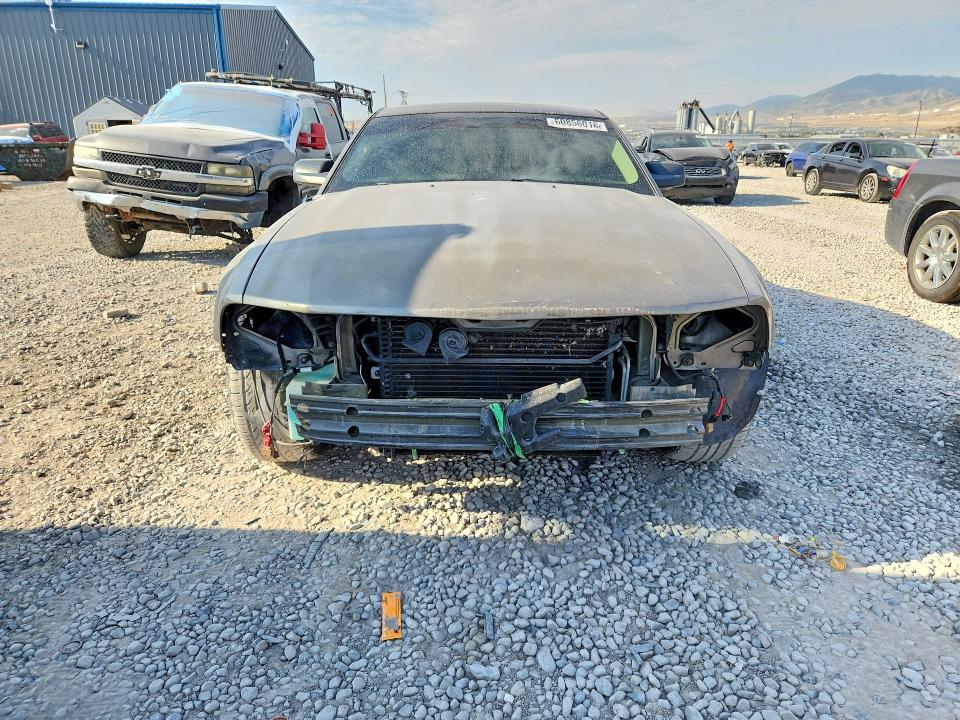 60856016 :رقم المزاد ، 1ZVFT80N655238566 vin ، 2005 Ford Mustang مزاد بيع