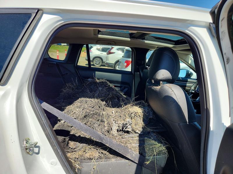 Продаж на аукціоні авто 2025 Mazda Cx-50, vin: 7MMVABDYXSN328045, номер лоту: 59715426