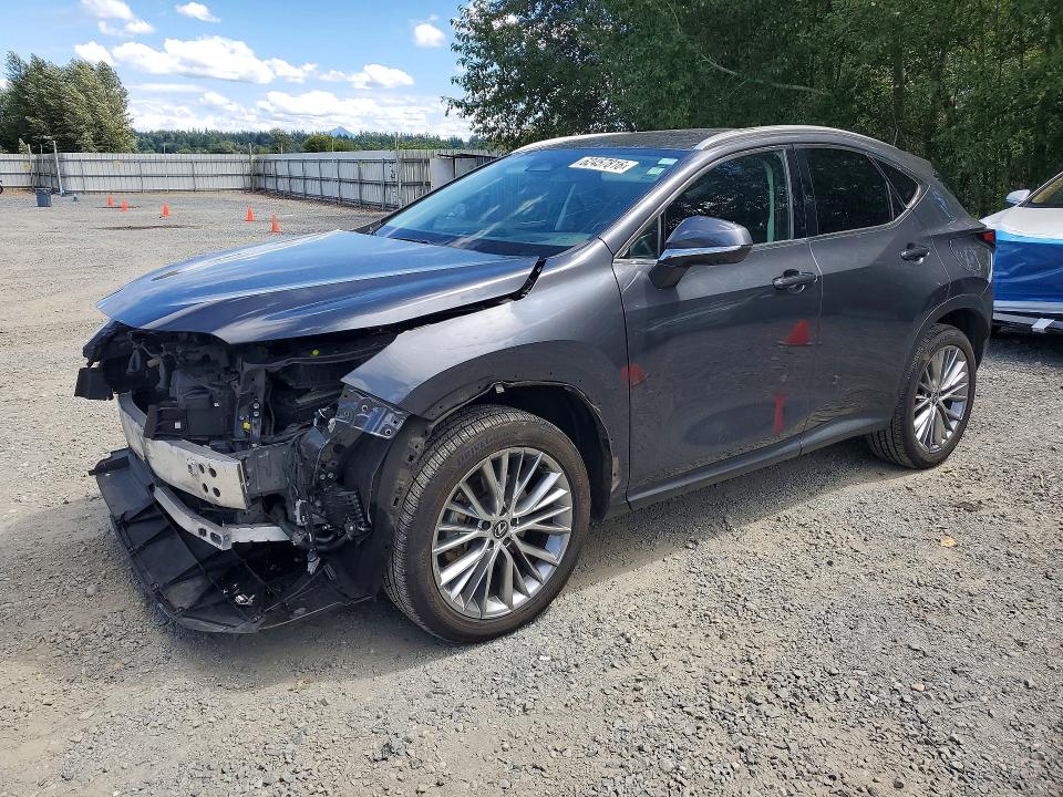 2024 Lexus Nx 350h მანქანა იყიდება აუქციონზე, vin: 2T2HKCEZXRC024598, აუქციონის ნომერი: 62457816