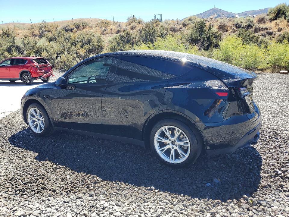 Продаж на аукціоні авто 2023 Tesla Model Y, vin: 7SAYGDEE1PA066496, номер лоту: 62700536