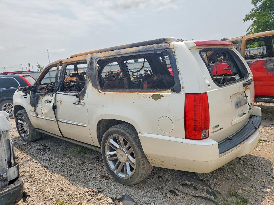 Продаж на аукціоні авто 2010 Cadillac Escalade, vin: 1GYUKKEFXAR273135, номер лоту: 62048806