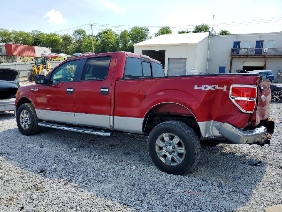 61302486 :رقم المزاد ، 1FTFW1EF1BFD06281 vin ، 2011 Ford F150 مزاد بيع