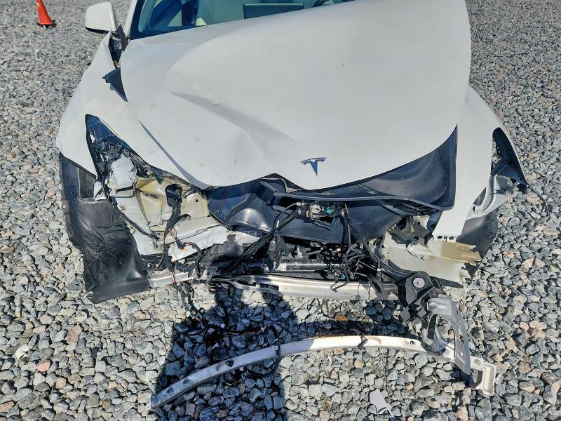 Aukcja sprzedaży 2021 Tesla Model Y, vin: 5YJYGDEFXMF219994, numer aukcji: 59800446