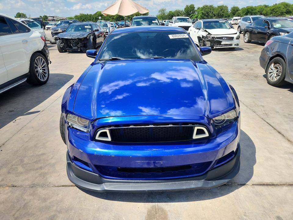 60859926 :رقم المزاد ، 1ZVBP8AM0D5251191 vin ، 2013 Ford Mustang مزاد بيع