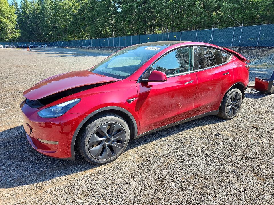 Aukcja sprzedaży 2024 Tesla Model Y, vin: 7SAYGDEE0RF114401, numer aukcji: 61404556