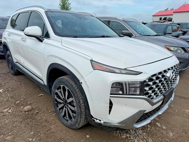 2023 Hyundai Santa Fe მანქანა იყიდება აუქციონზე, vin: KM8S5DA19PU099554, აუქციონის ნომერი: 60777636
