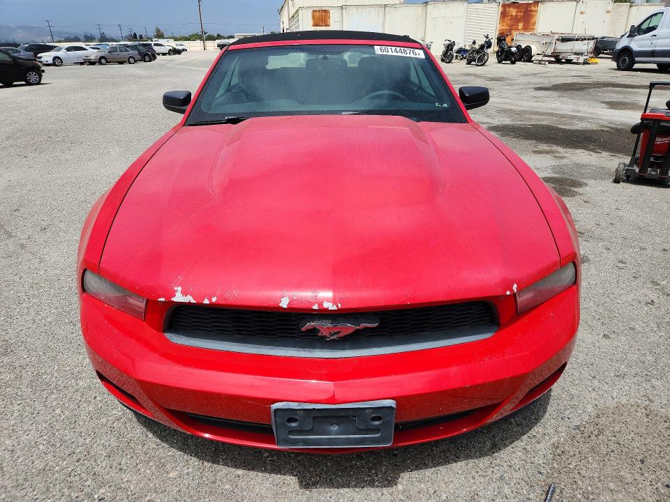Продаж на аукціоні авто 2010 Ford Mustang, vin: 1ZVBP8EN0A5116680, номер лоту: 60144876