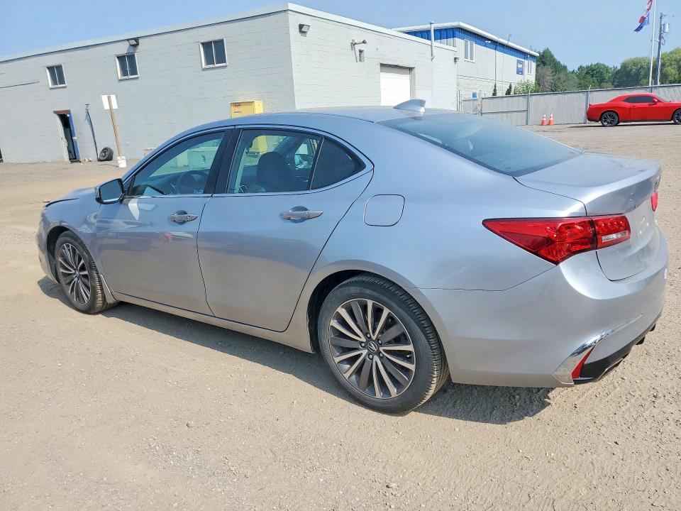 61569606 :رقم المزاد ، 19UUB3F50KA802191 vin ، 2019 Acura Tlx مزاد بيع
