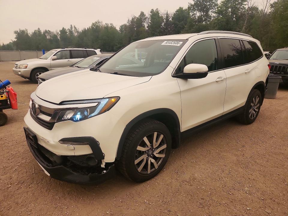 2021 Honda Pilot მანქანა იყიდება აუქციონზე, vin: 5FNYF6H74MB506685, აუქციონის ნომერი: 60482606