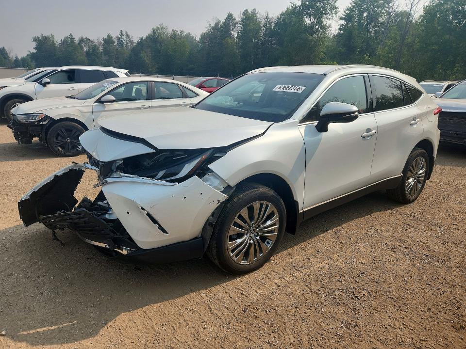 2024 Toyota Venza მანქანა იყიდება აუქციონზე, vin: JTEAAAAH5RJ178100, აუქციონის ნომერი: 60666256