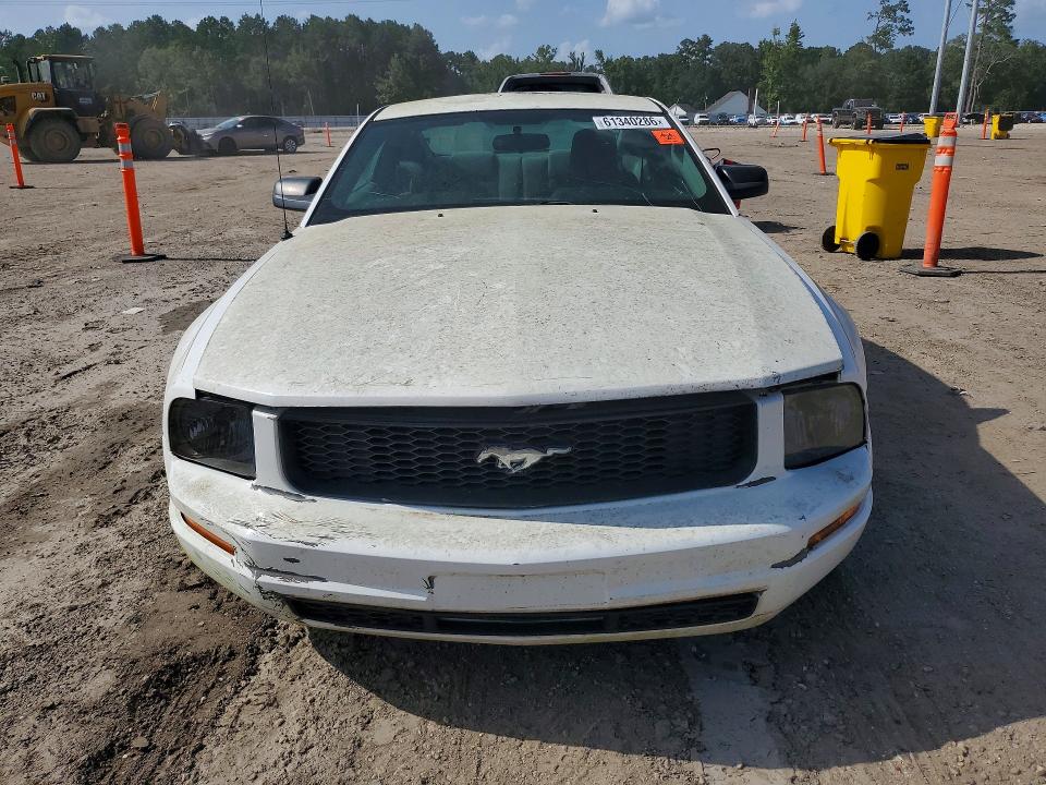 2005 Ford Mustang მანქანა იყიდება აუქციონზე, vin: 1ZVFT80N855139165, აუქციონის ნომერი: 61340286