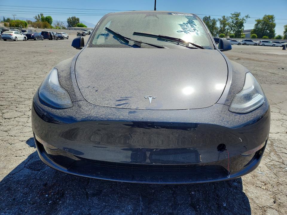 Продаж на аукціоні авто 2024 Tesla Model Y, vin: 7SAYGDED6RF117052, номер лоту: 59111836