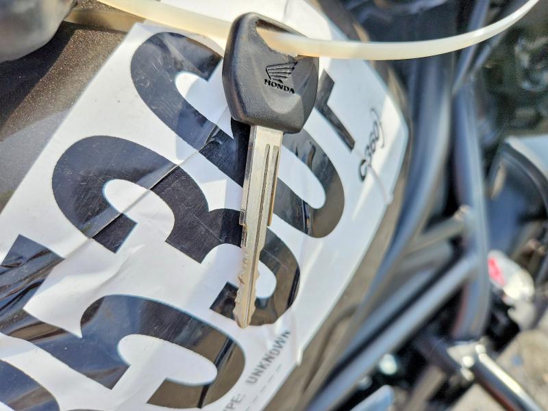 2023 Honda Rebel 500 მანქანა იყიდება აუქციონზე, vin: MLHPC5614P5600839, აუქციონის ნომერი: 62443536
