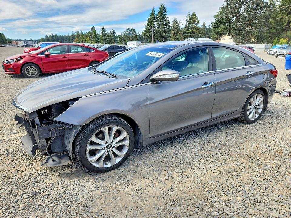 2013 Hyundai Sonata მანქანა იყიდება აუქციონზე, vin: 5NPEC4AB5DH584845, აუქციონის ნომერი: 61639176