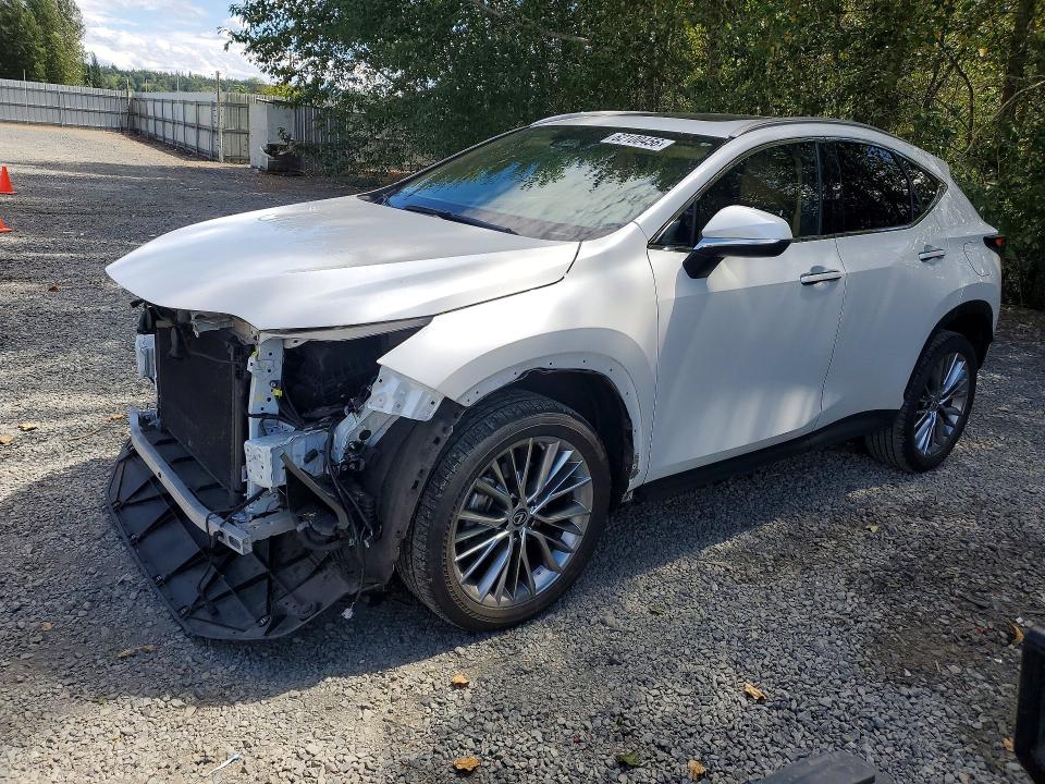2023 Lexus Nx მანქანა იყიდება აუქციონზე, vin: 2T2GKCEZ9PC010278, აუქციონის ნომერი: 62100456