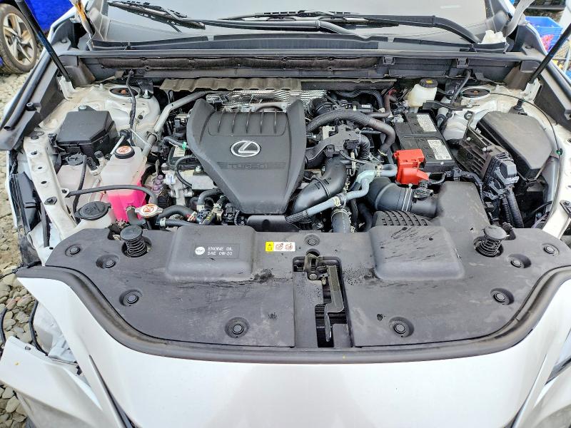 62852346 :رقم المزاد ، 2T2AGCEZXSC071493 vin ، 2025 Lexus Nx 350 مزاد بيع
