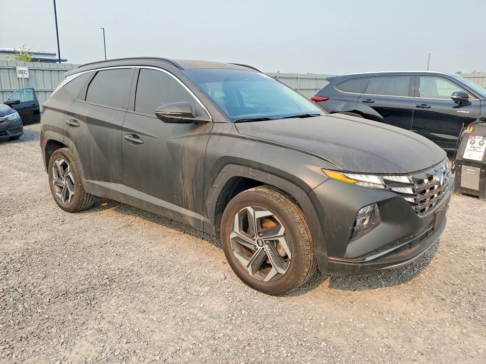 60141086 :رقم المزاد ، KM8JBCDE1RU324971 vin ، 2024 Hyundai Tucson مزاد بيع