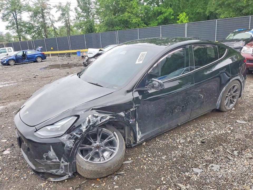 Продаж на аукціоні авто 2025 Tesla Model  Y, vin: 7SAYGDED0SA375490, номер лоту: 59980206