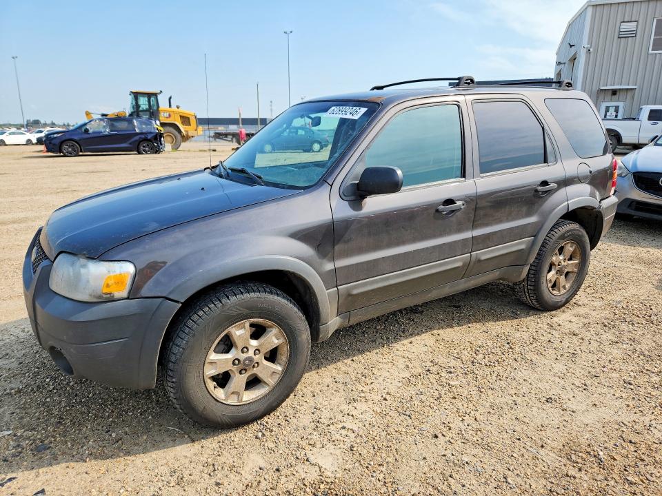 Продаж на аукціоні авто 2007 Ford Escape, vin: 1FMYU93127KA23189, номер лоту: 62899246