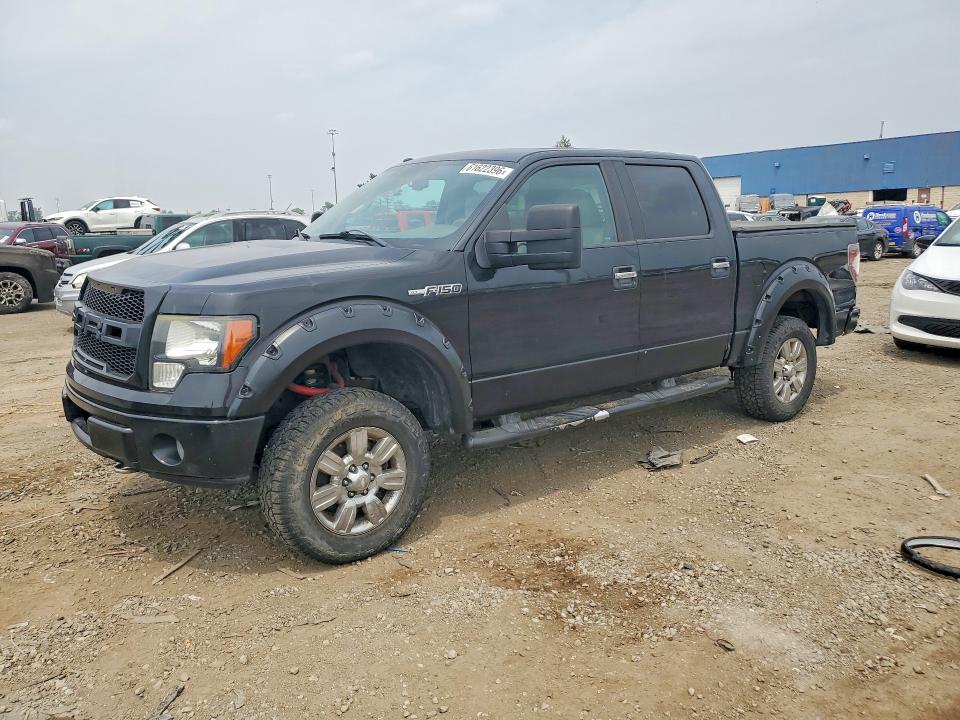 Aukcja sprzedaży 2010 Ford F150, vin: 1FTEW1E81AFA66516, numer aukcji: 61622396