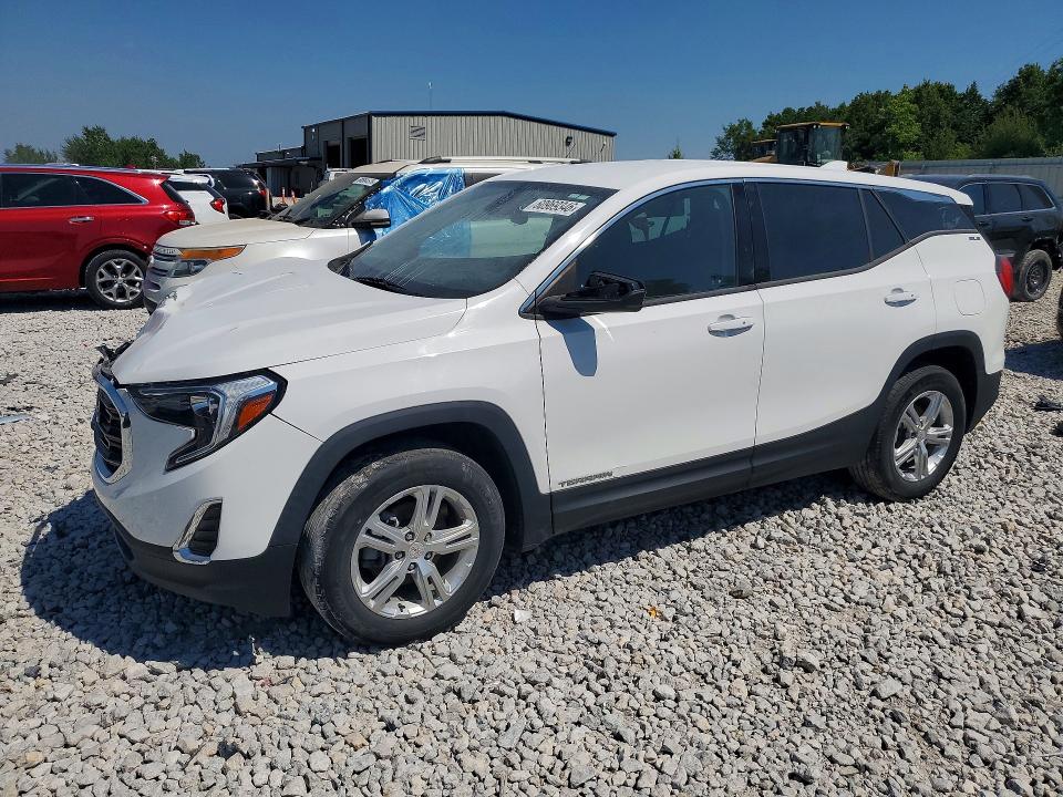 60969346 :رقم المزاد ، 3GKALMEV8LL273013 vin ، 2020 Gmc Terrain مزاد بيع