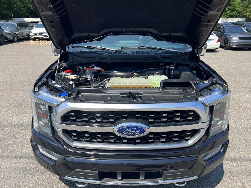 62357776 :رقم المزاد ، 1FTFW1ED8MFC01173 vin ، 2021 Ford F150 مزاد بيع