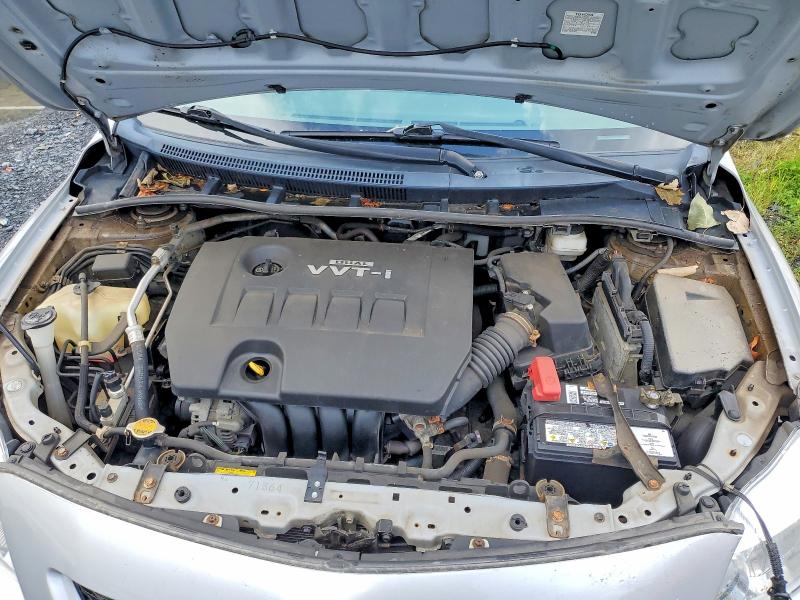 Продаж на аукціоні авто 2010 Toyota Corolla, vin: 2T1BU4EE2AC441080, номер лоту: 62130406