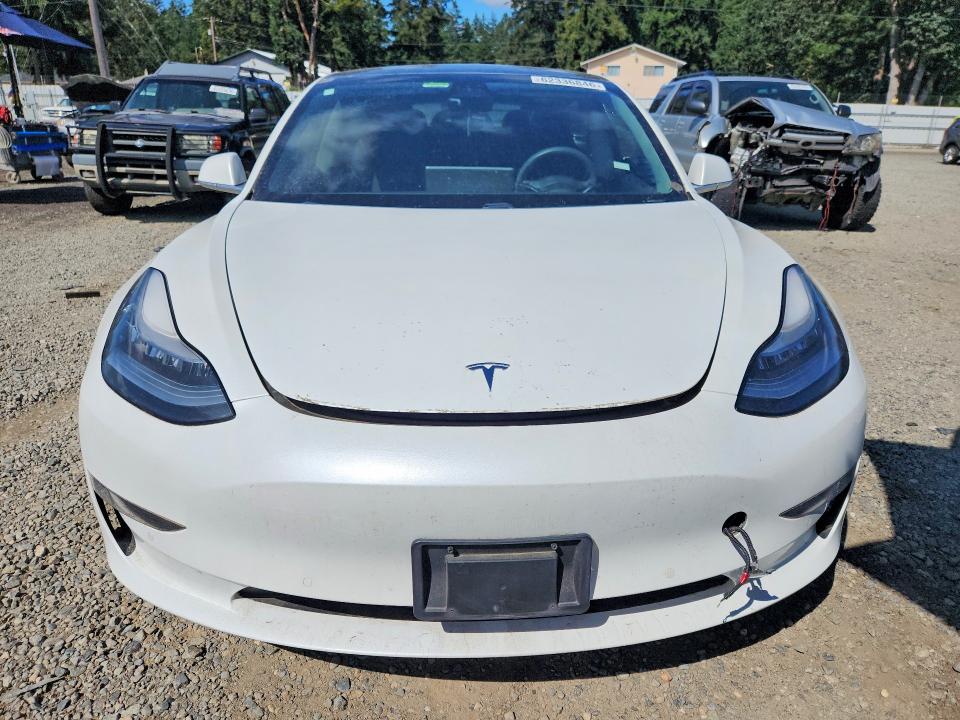 62336846 :رقم المزاد ، 5YJ3E1EB4KF454223 vin ، 2019 Tesla Model 3 مزاد بيع
