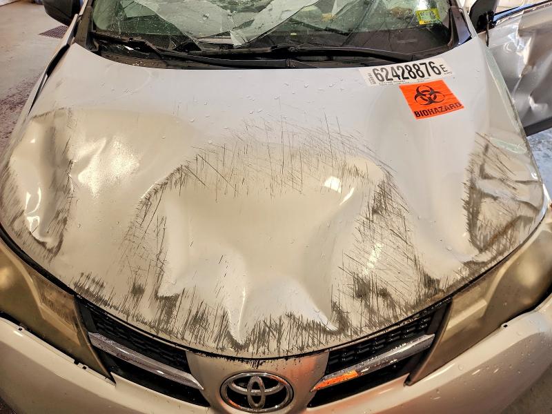 Продаж на аукціоні авто 2014 Toyota Rav4, vin: JTMZFREV1EJ005983, номер лоту: 62428876