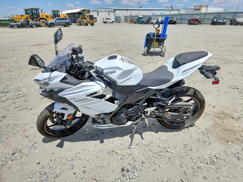61584396 :رقم المزاد ، JKAEXKH11PDAL3597 vin ، 2023 Kawasaki Ex400 مزاد بيع