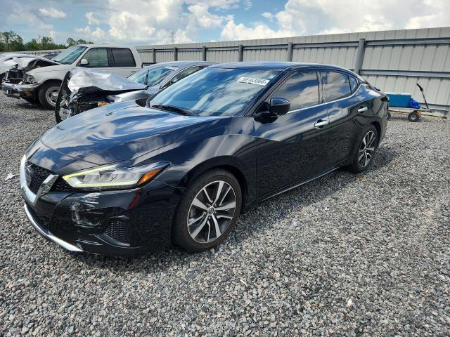 59163066 :رقم المزاد ، 1N4AA6BV3LC382885 vin ، 2020 Nissan Maxima مزاد بيع