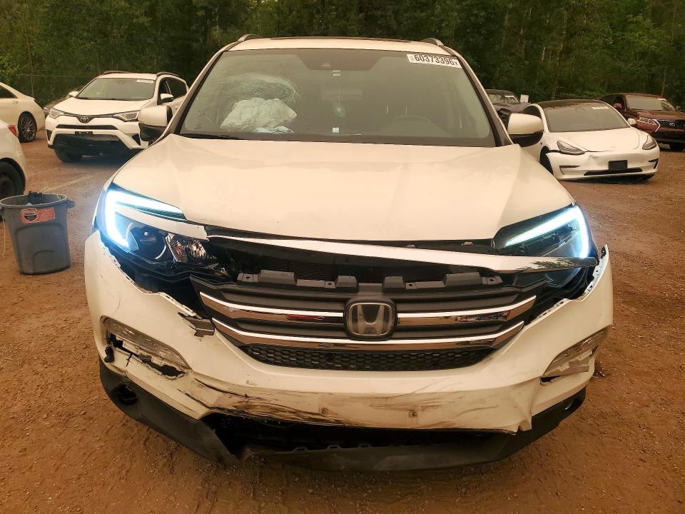 Aukcja sprzedaży 2018 Honda Pilot, vin: 5FNYF6H86JB501511, numer aukcji: 60373396
