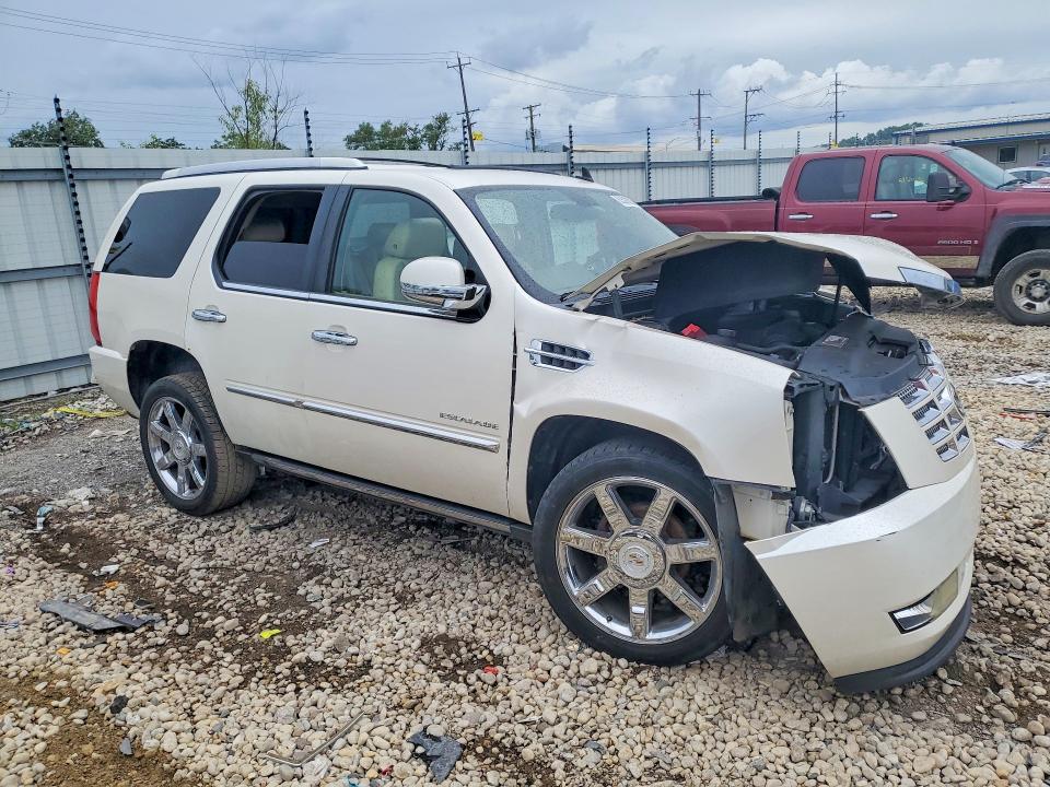 Продаж на аукціоні авто 2011 Cadillac Escalade, vin: 1GYS4CEF2BR216839, номер лоту: 63528826