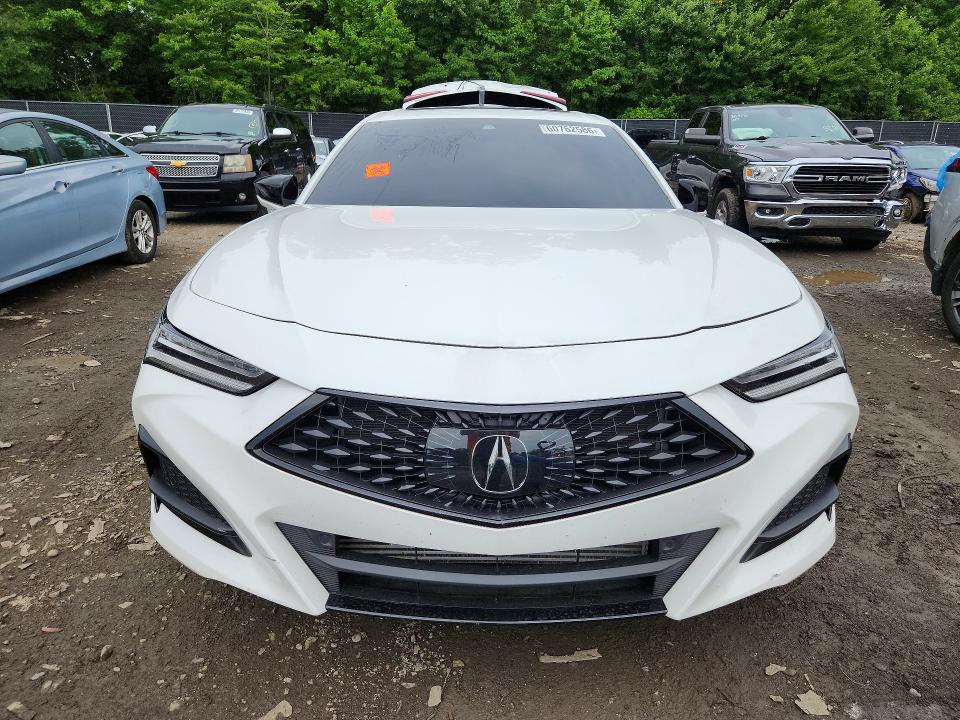 Auction sale of the 2023 Acura Tlx, vin: 19UUB6F51PA005831, lot number: 60762586