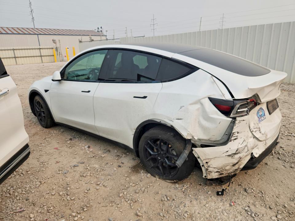 61533866 :رقم المزاد ، 5YJYGDEE8MF210976 vin ، 2021 Tesla Model Y مزاد بيع