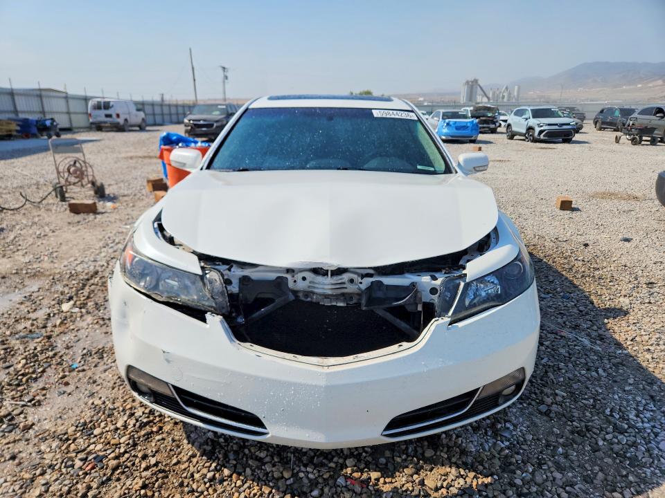 Продаж на аукціоні авто 2013 Acura Tl, vin: 19UUA9F50DA002130, номер лоту: 59844236