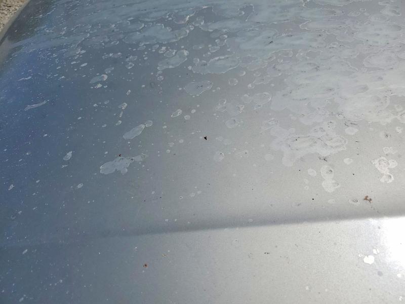 59690236 :رقم المزاد ، JT2BF22K510299352 vin ، 2001 Toyt Camry مزاد بيع