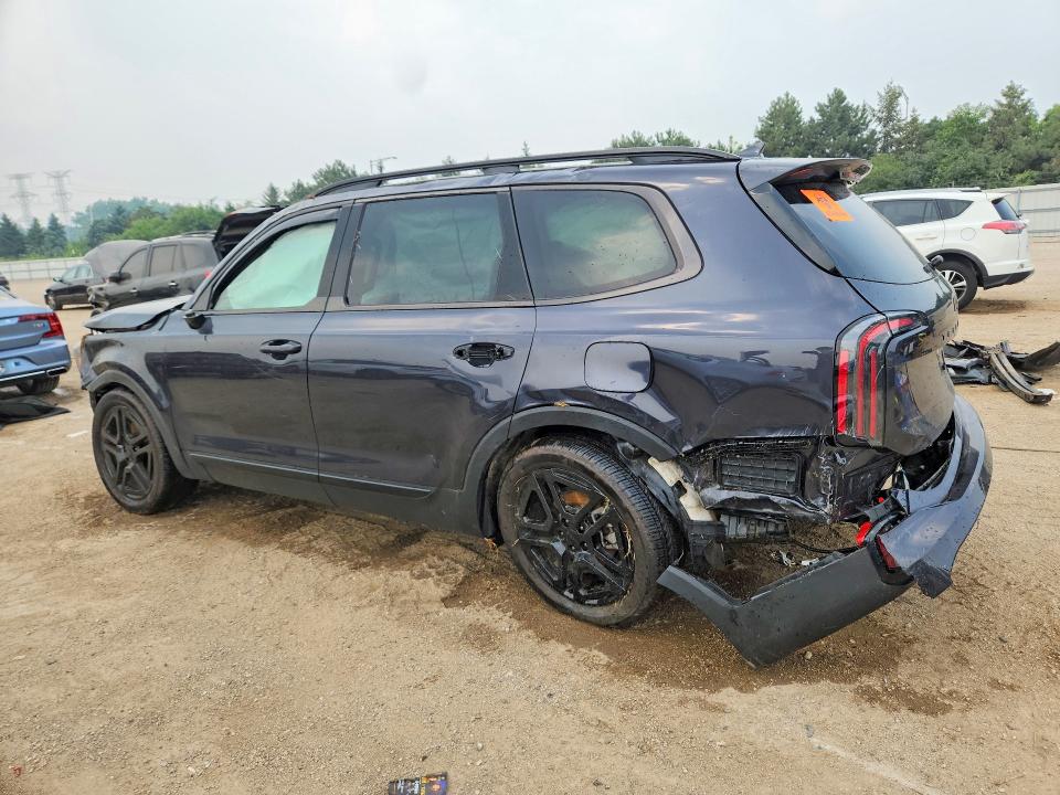 Продаж на аукціоні авто 2025 Kia Telluride, vin: 5XYP5DGC1SG658527, номер лоту: 59348826