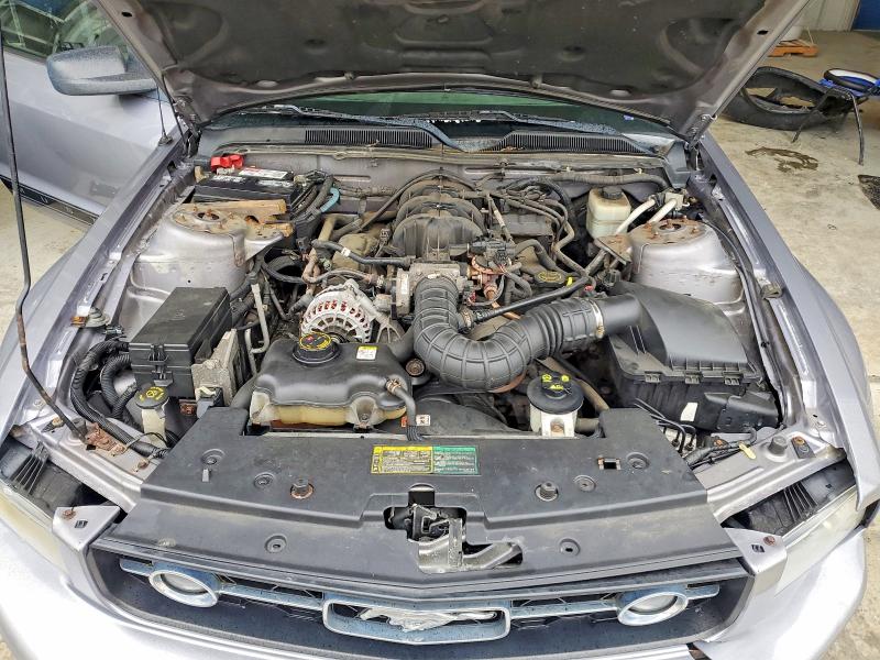 Продаж на аукціоні авто 2006 Ford Mustang, vin: 1ZVFT80N765175379, номер лоту: 62483656