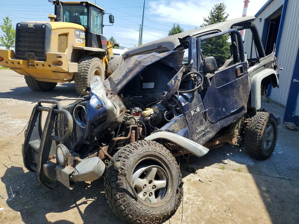 2003 Jeep Wrangler მანქანა იყიდება აუქციონზე, vin: 1J4FA39S63P319132, აუქციონის ნომერი: 60954536