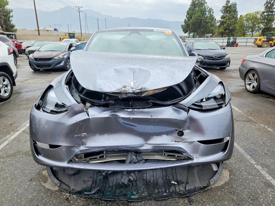 Продаж на аукціоні авто 2025 Tesla Model Y, vin: 7SAYGDED4SF278568, номер лоту: 60260916