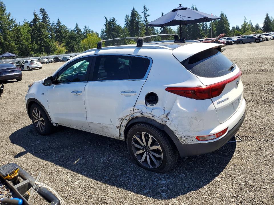 Auction sale of the 2017 Kia Sportage, vin: KNDPNCAC4H7074535, lot number: 62629336