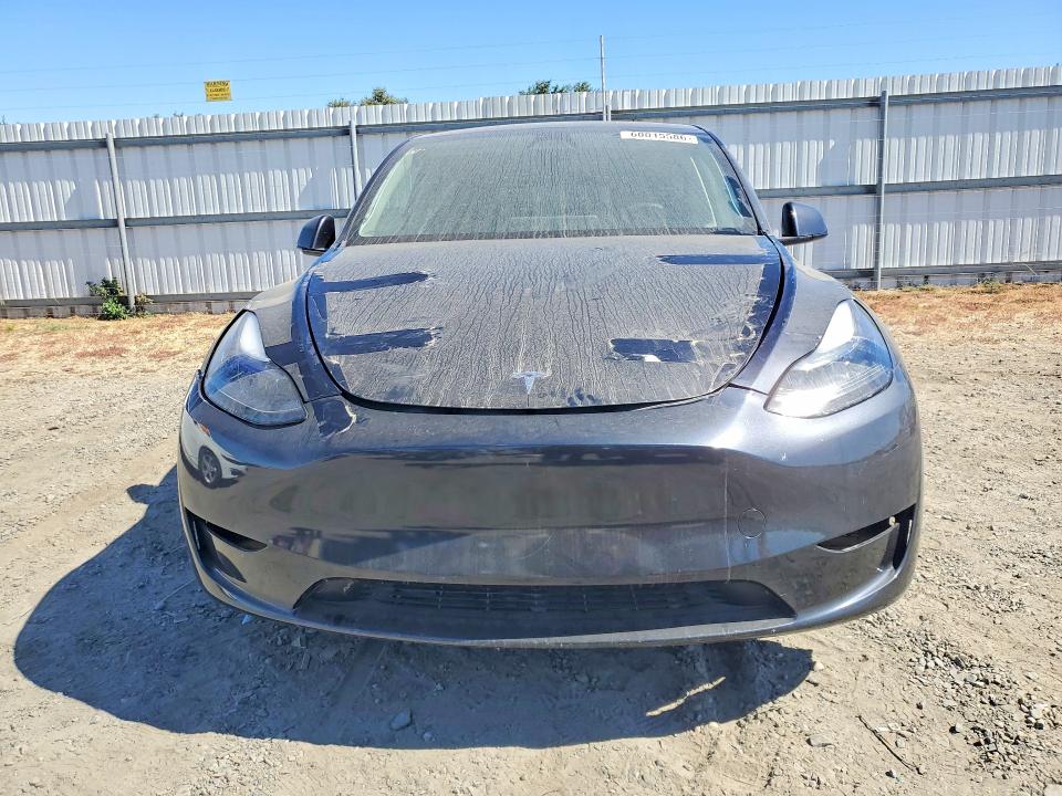 Aukcja sprzedaży 2025 Tesla Model Y, vin: 7SAYGDED2SF259629, numer aukcji: 60015586
